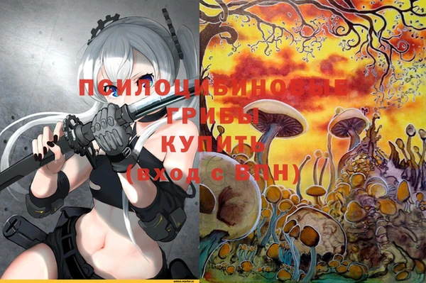 мдпв Абинск