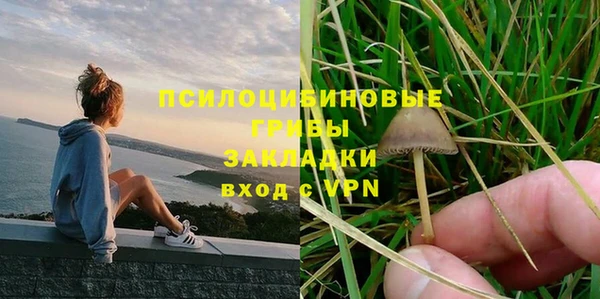 твердый Алзамай