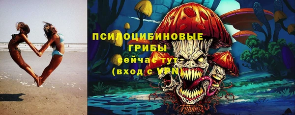 Альфа ПВП Абаза