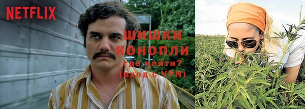 Альфа ПВП Абаза