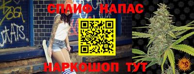 прущие грибы Ливны