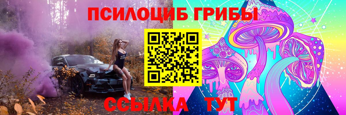 Норильск  Псилоцибиновые грибы Psilocybe  Псилоцибиновые грибы GOLDEN TEACHER  Вход с VPN 
