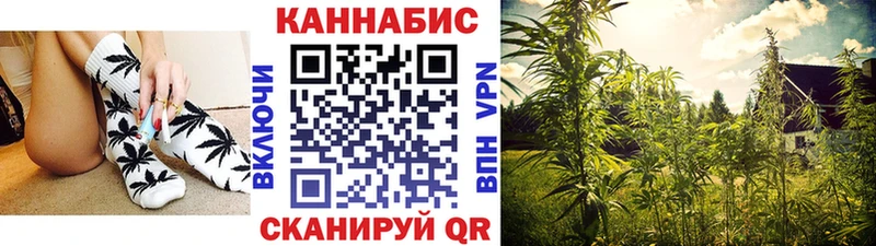 Канабис AK-47  купить закладку  Норильск 